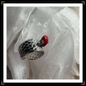 Bague argentée graineIMG